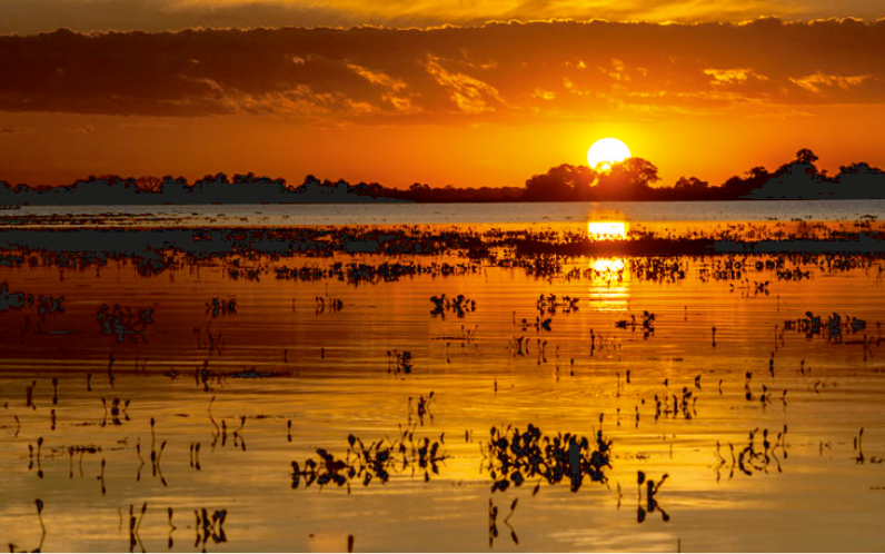 Visit Pantanal!